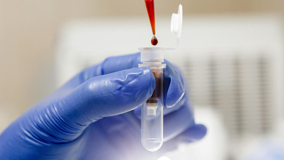 Фото: © Global Look Press/Serhii Hudakukrinform/Keystone Press Agency