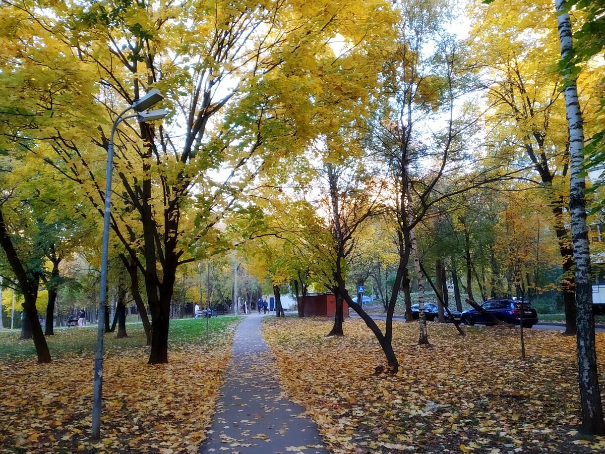 Фото авторские
