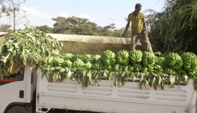 Не смогла остаться равнодушной к этой истории и, хочу поделиться ей с вами.-9