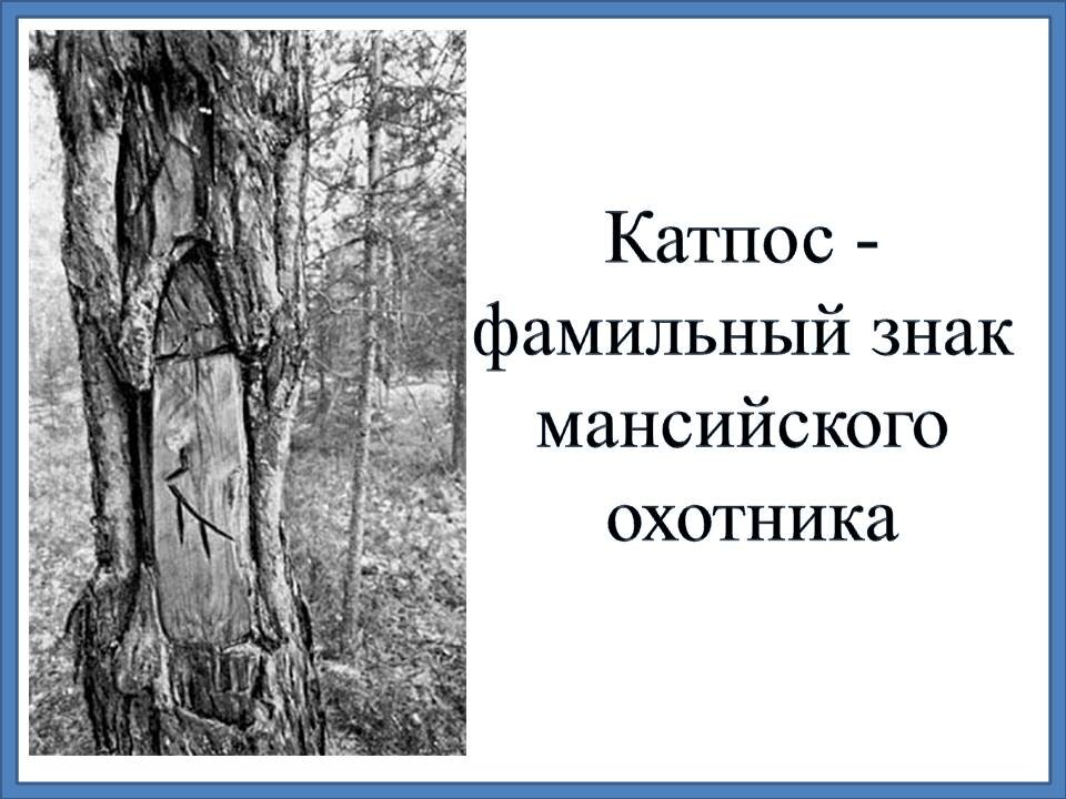 Рисунок выполнен автором статьи по материалам с сайта «outdoors.ru»