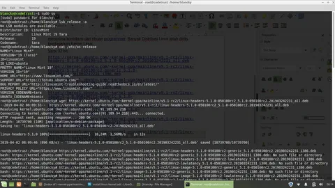 На примере Linux 5.1 RC2 Di Ububntu