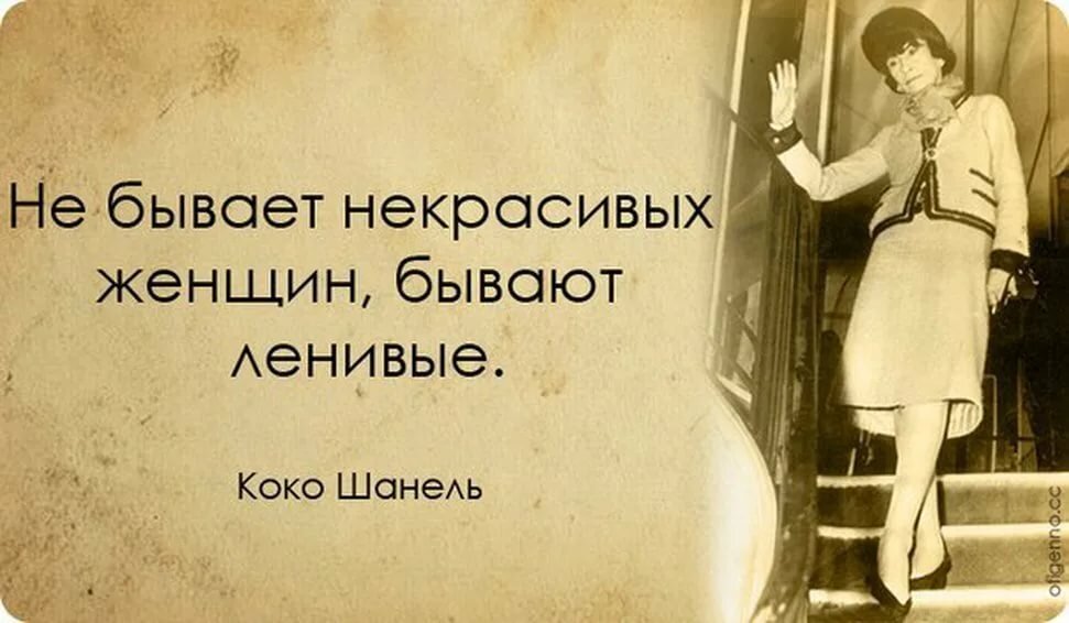 Изображение взято из открытых источников Яндекс Картинки
