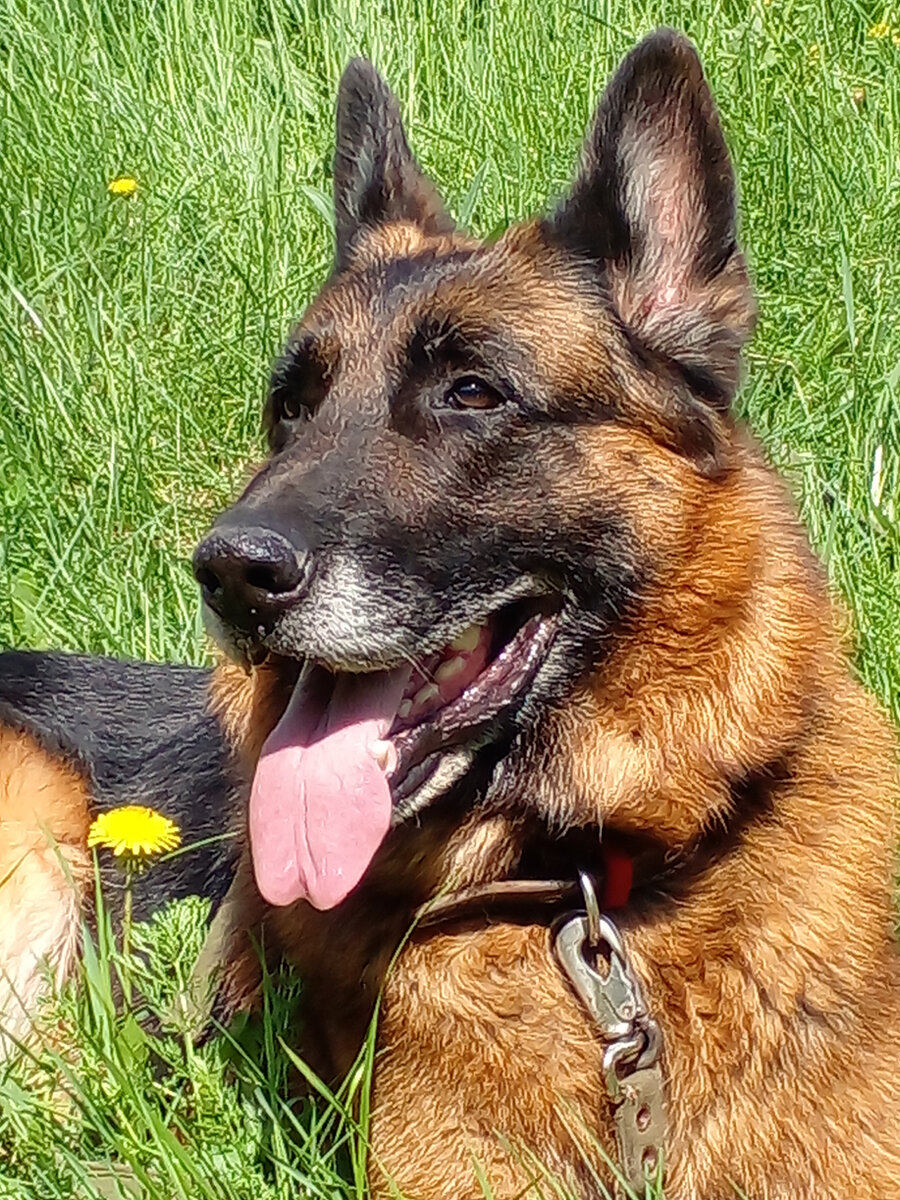 Эрих, май 2021. Фото автора. 