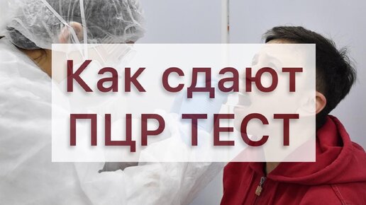 Увидел как делаются 5 минутные экспресс тесты на COVID (коронавирус) - ПЦР тест. Показываю всю процедуру.