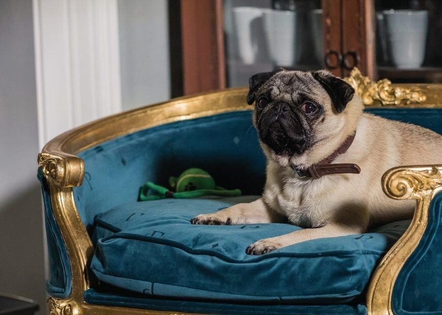  Я по несколько раз пересматривала любимые моменты. В общем, очень рекомендую, потому что, вероятнее всего, у вас будет болеть живот от смеха, как у меня. 