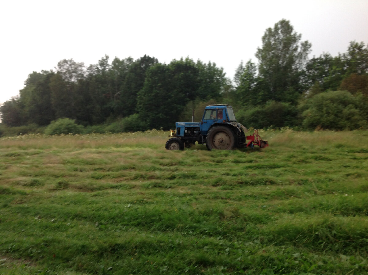 Трактор косит траву