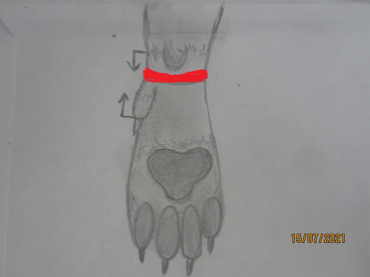 Листайте 👉