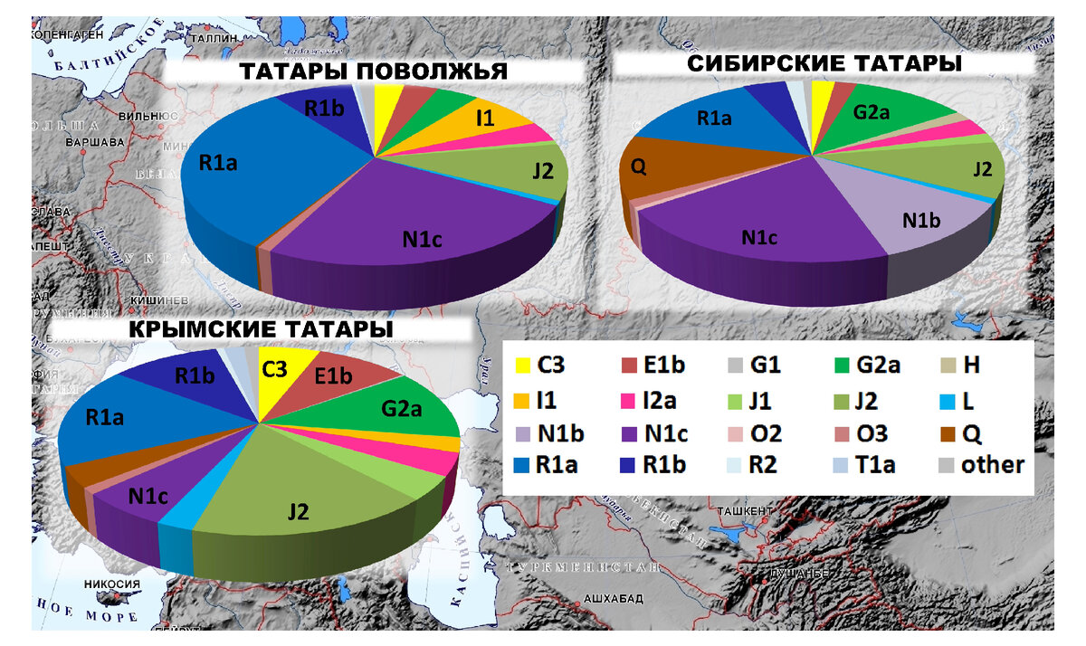 Y-хромосомные гаплогруппы татар (картинка взята из ОИ)
