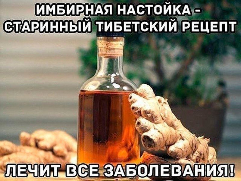 Где выпить настойки