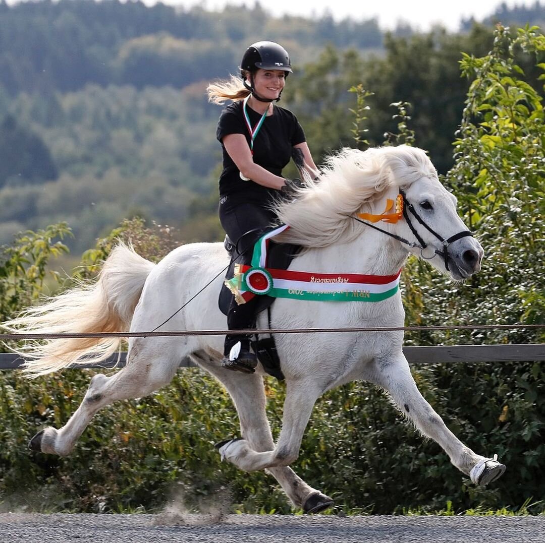 Вот так выглядит лошадь, бегущая иноходью.