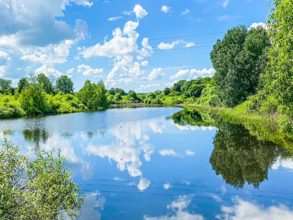 Путешествие в село Скородное. Сначала думали, что оно заброшено, но  оказалось не так. Пообщались с местными жителями | Прекрасное рядом | Дзен