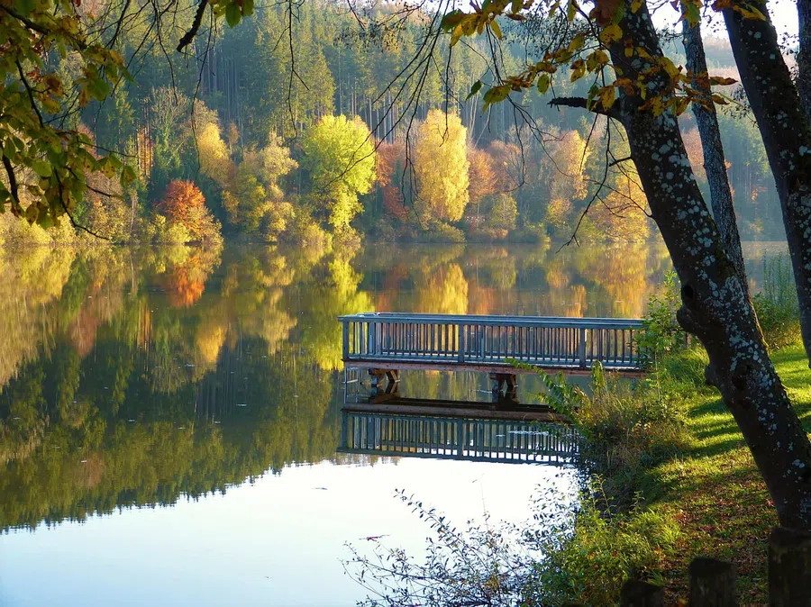 Фото: pixabay.com