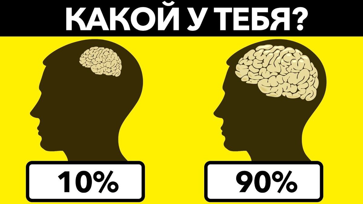 Источник: Яндекс Картинки