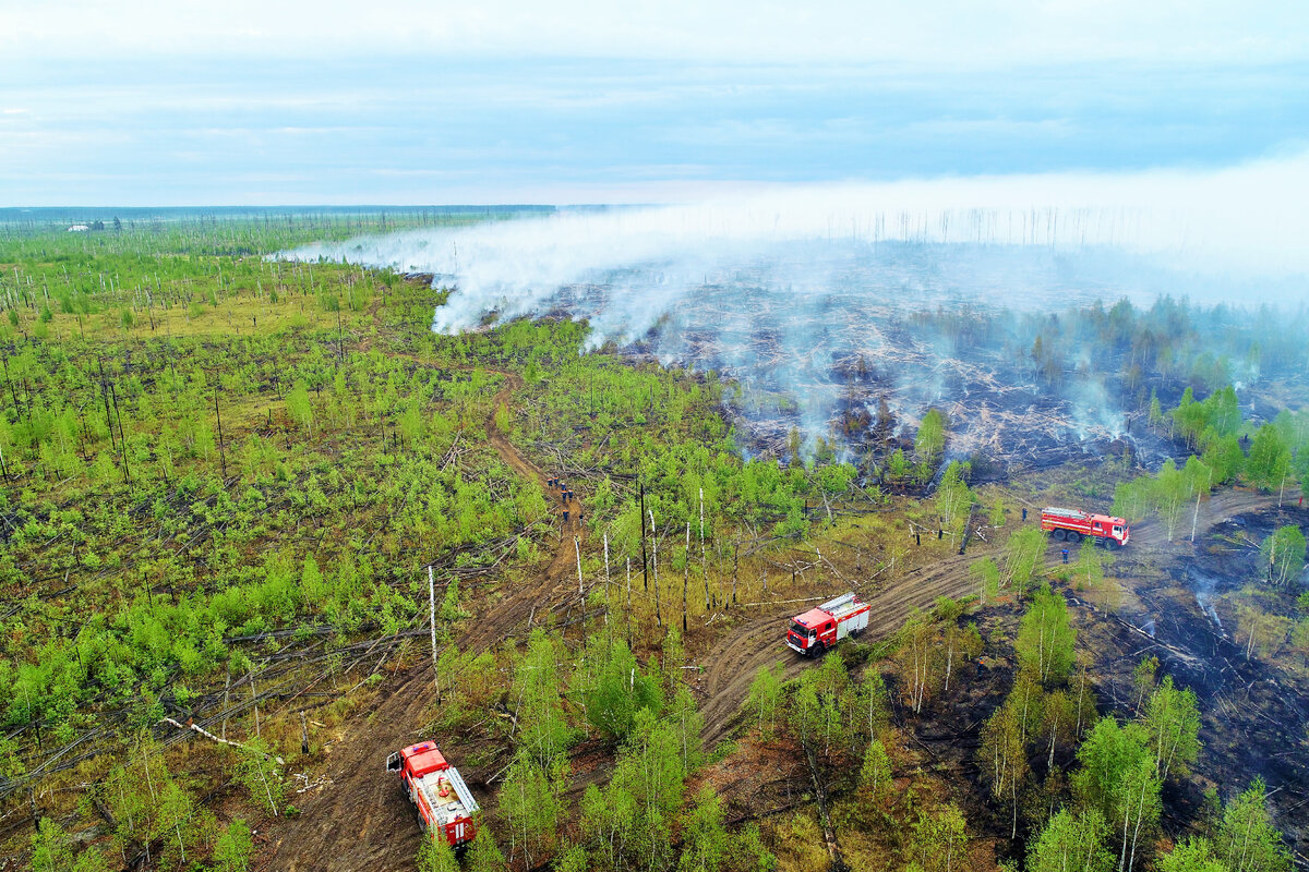  пожар ведёт себя гораздо жёстче