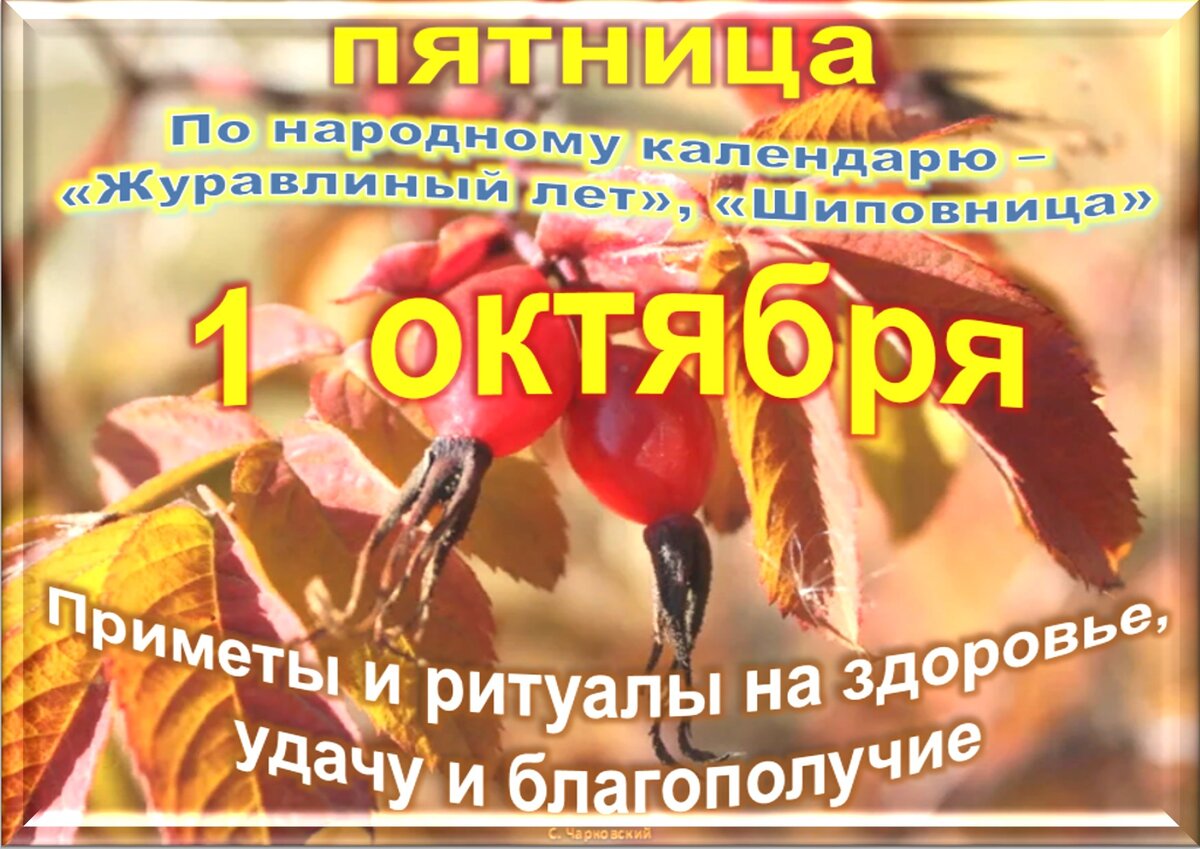 Встречаем новый день