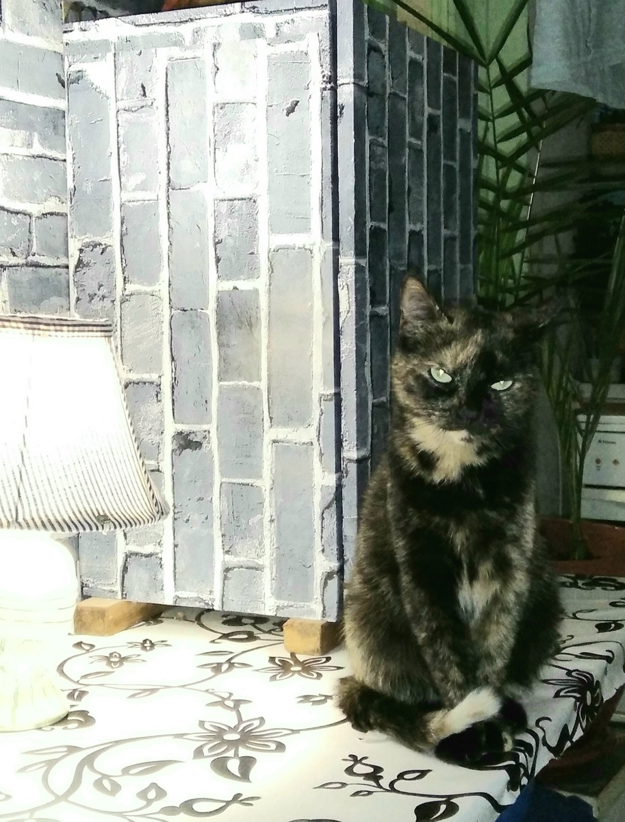 Опять пришли, фоткают тут