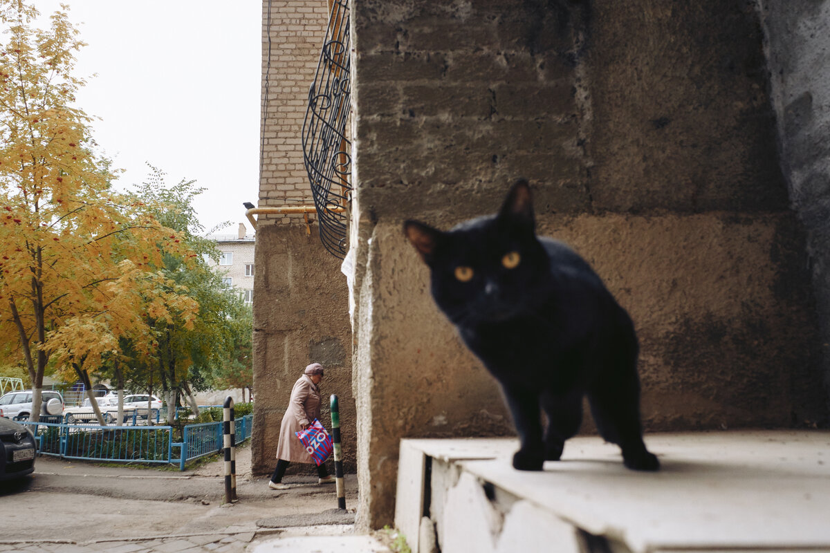 Фото автора.