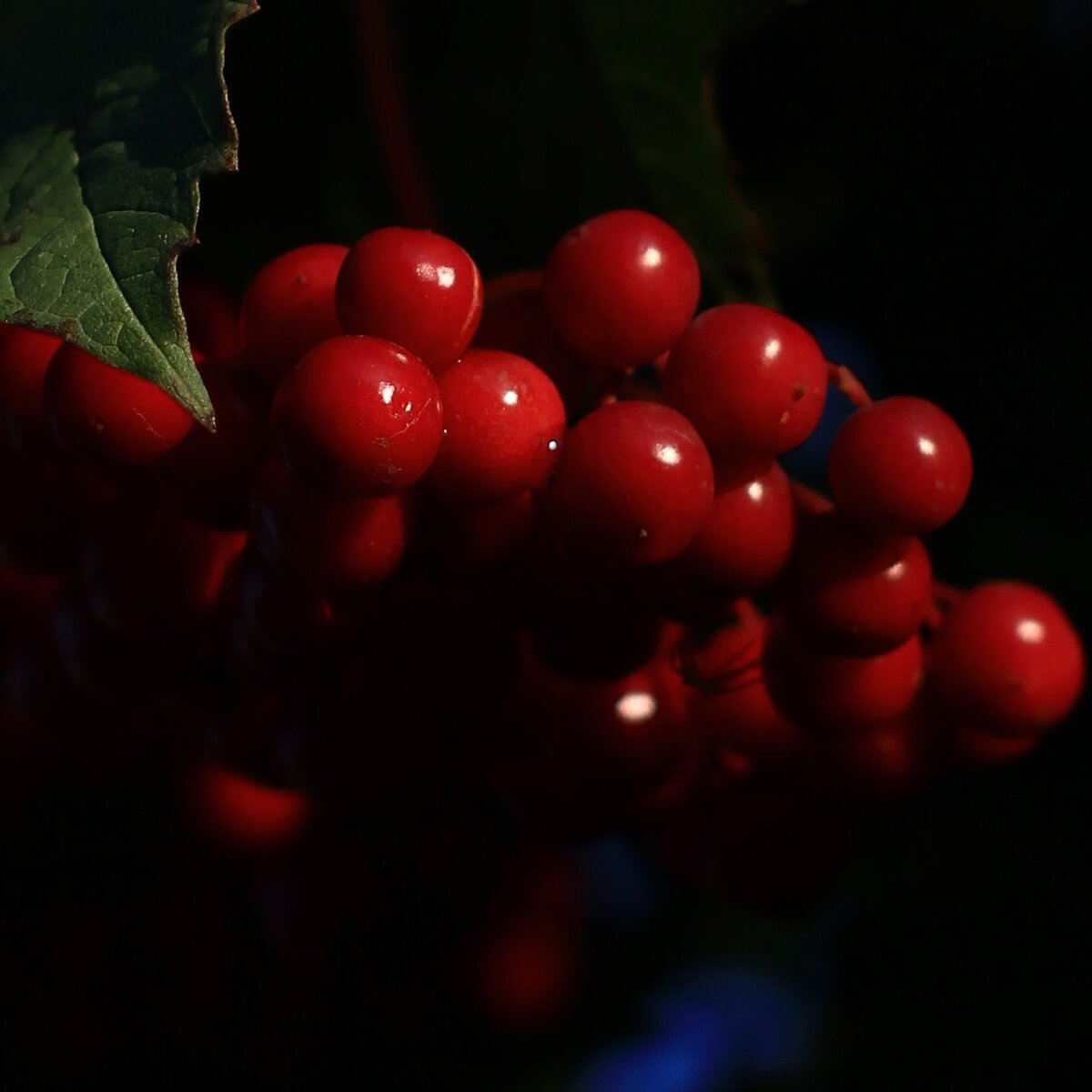 фото: Владимир Пузака