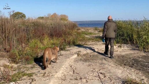 Прогулка на море с Месси и важный разговор про экологию