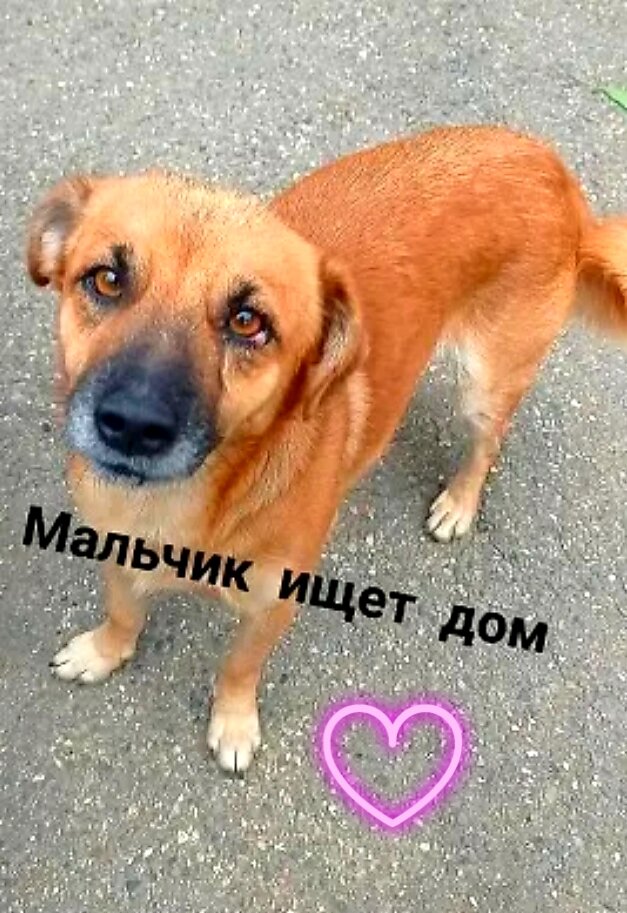 Со мной наигрались и я стал не нужным