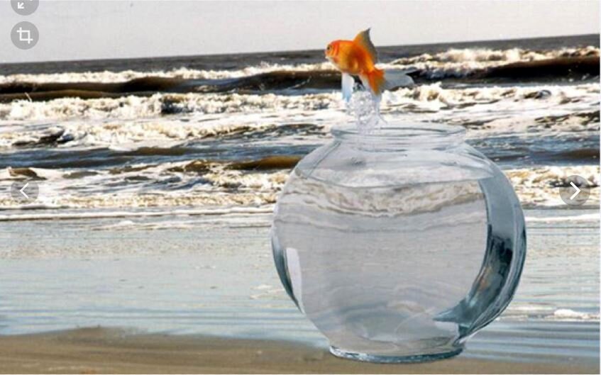 Все самое прекрасное за границами зоны комфорта