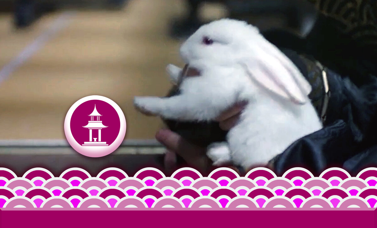 Обложка к статье "Кролики порабощают империю" (продолжение).