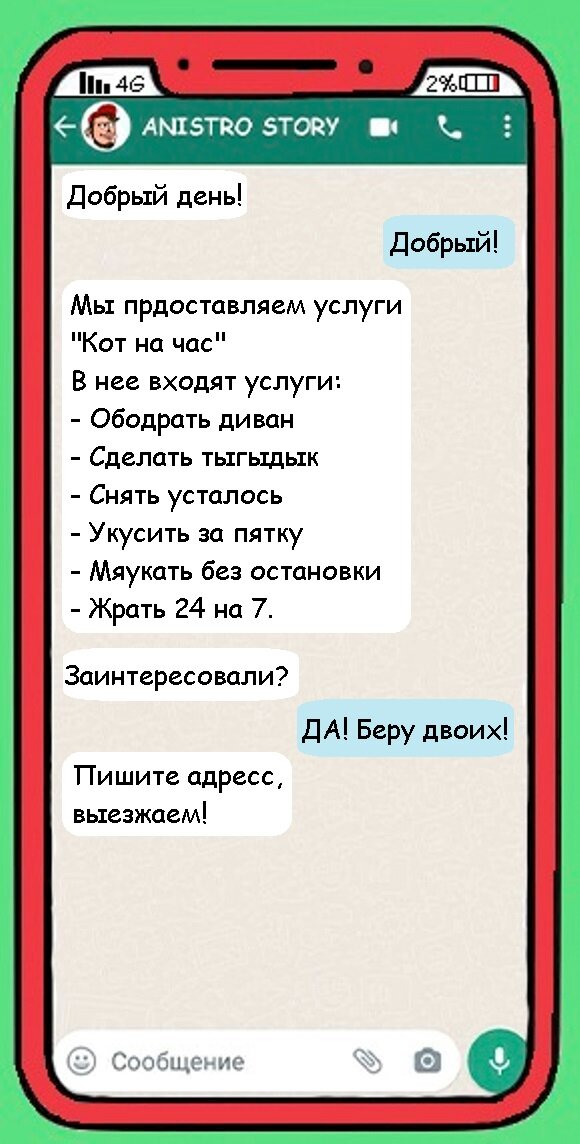 Релакс агентство с котиками. Мы можем больше чем выдумаете!