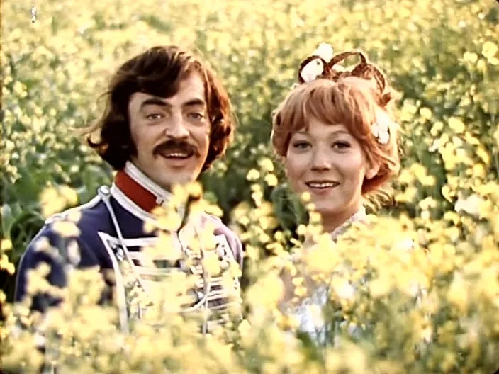 Сватовство гусара, 1979 г., автор Светлана Дружинина