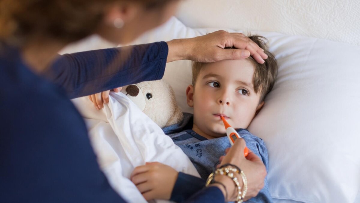 Фото – severpost.ru