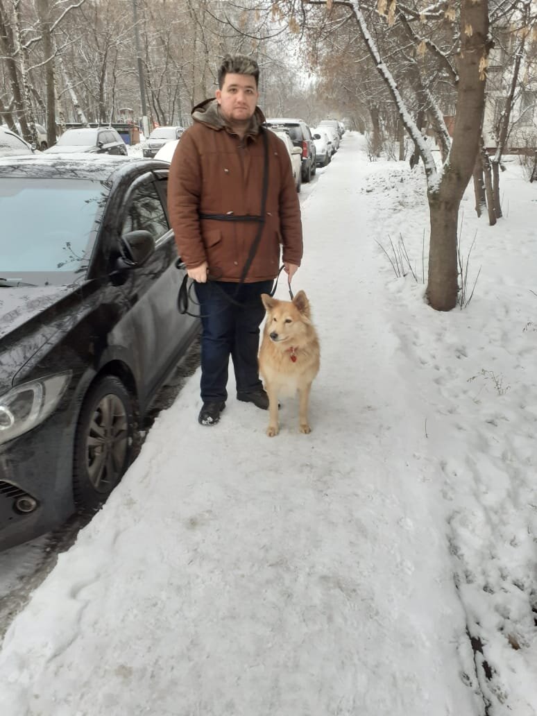 Герта. Её взяли наши друзья, которые уже брали много лет назад собаку из нашего приюта. Герта пробыла в приюте около 2-х лет.