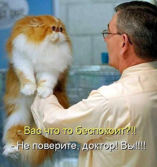 Источник https://www.pinterest.ru