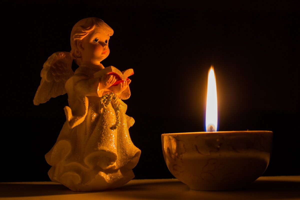 Фото Pavlofox с сайта Pixabay 