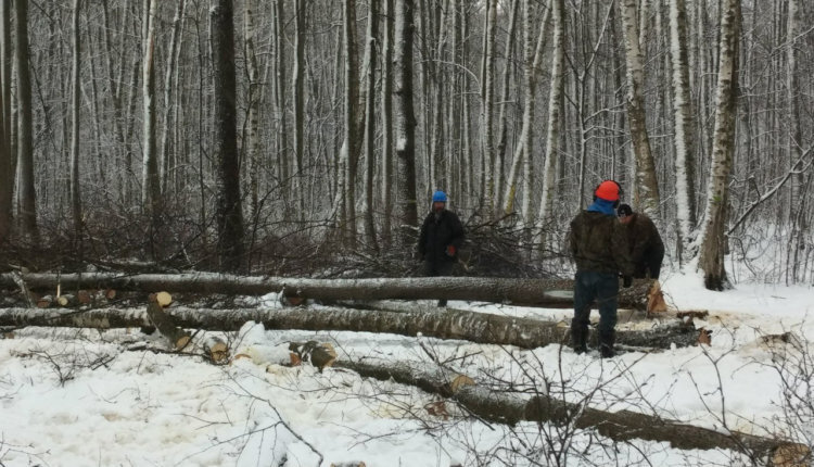 Фото: activatica.org