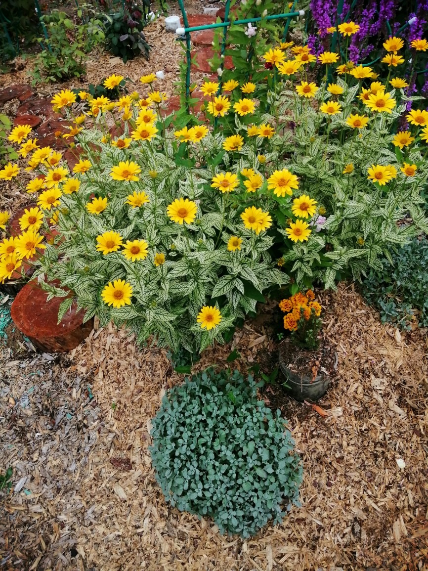 фото Тина Меркер