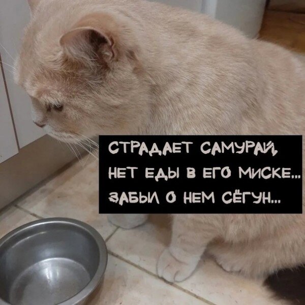 иллюстрация из яндекс картинки.