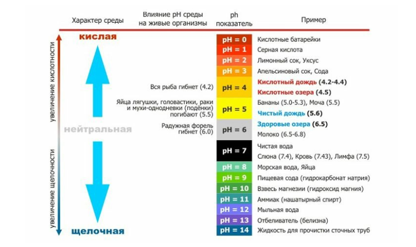 Кислотность среды. Таблица PH. Уровень показателя PH.