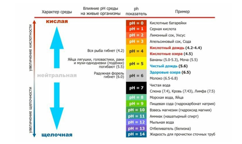 Какую среду имеет. Кислотность среды водородный показатель. РН показатель кислотности воды. Показатель кислотности PH таблица. PH кислотность и щелочность.