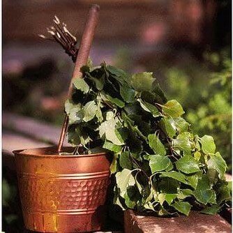 березовый веник