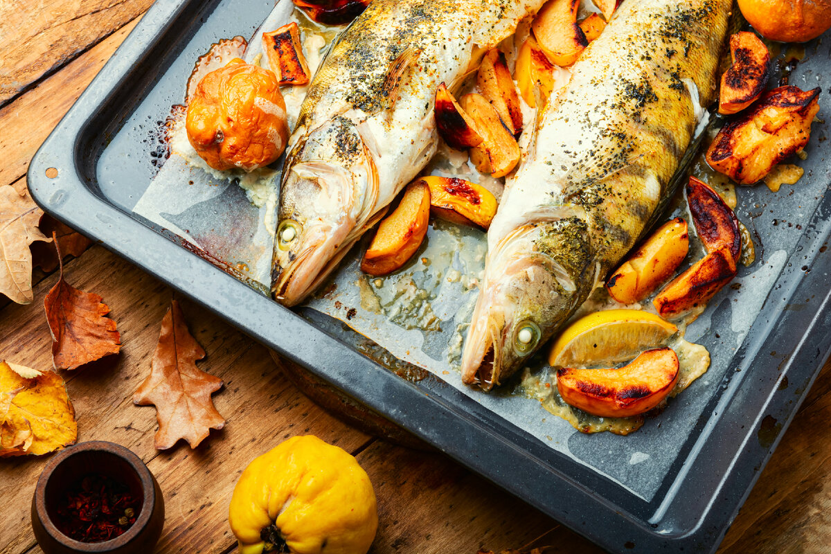 Секреты приготовления и питательные свойства рыбы судак