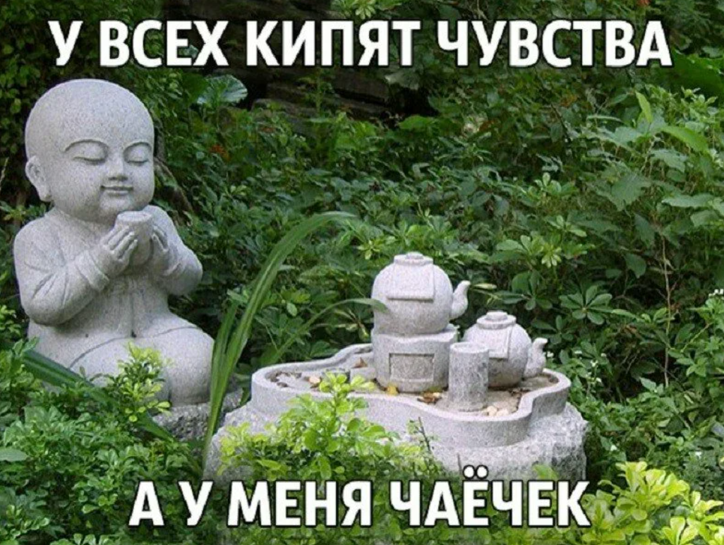 Это дзен. Это не лента дзена. Это настоящий дзен.