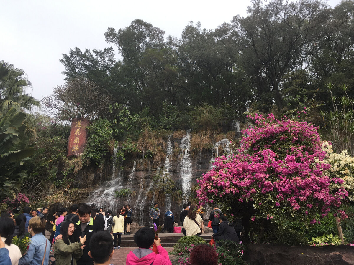 Лотосовая гора, недалеко от касс