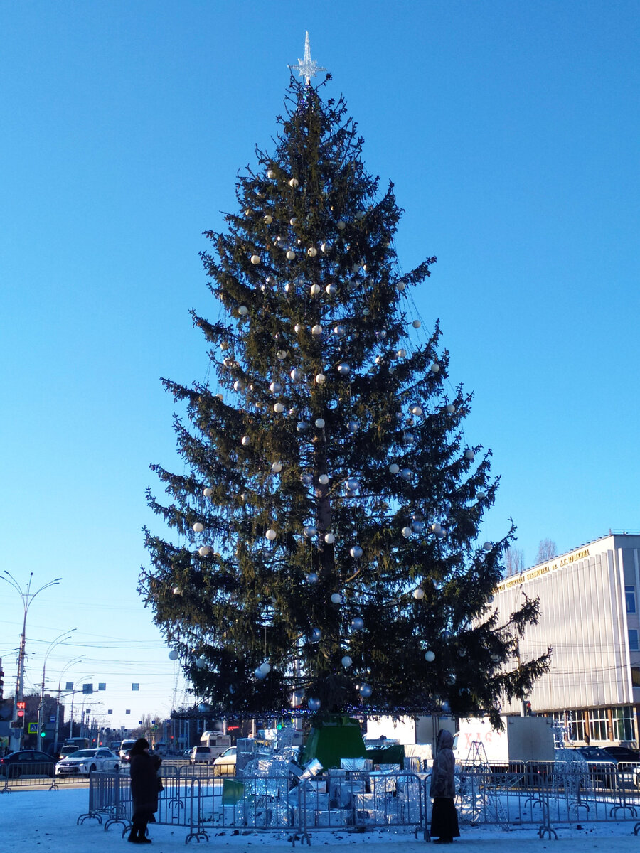 Тамбов. Елка на площади Ленина. Личное фото автора.