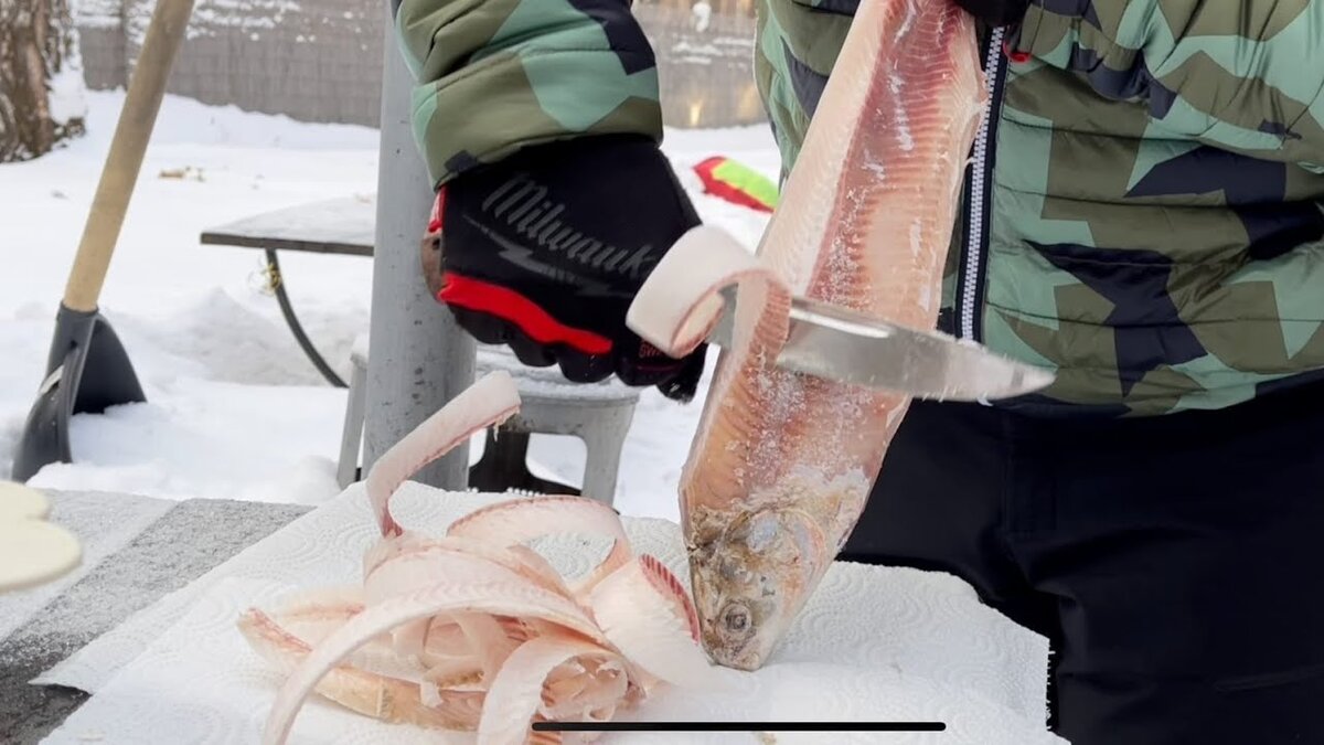 Строганина. Фото из открытых источников "Яндекс картинки"