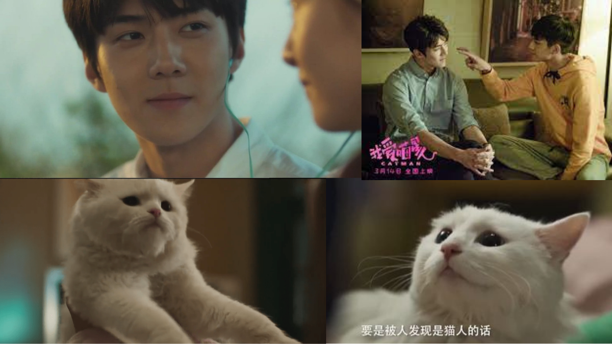Коллаж кадров из фильма «Котопарень», да, О Се Хун превращался в белого кота)))