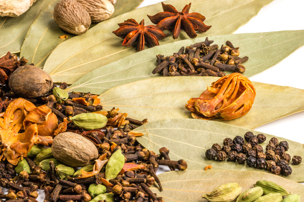 фото: shutterstock.com