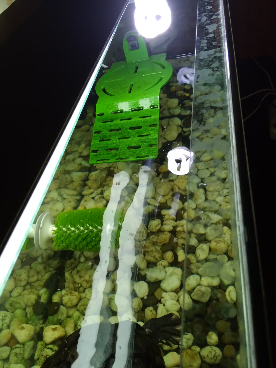 Аквариум для черепах