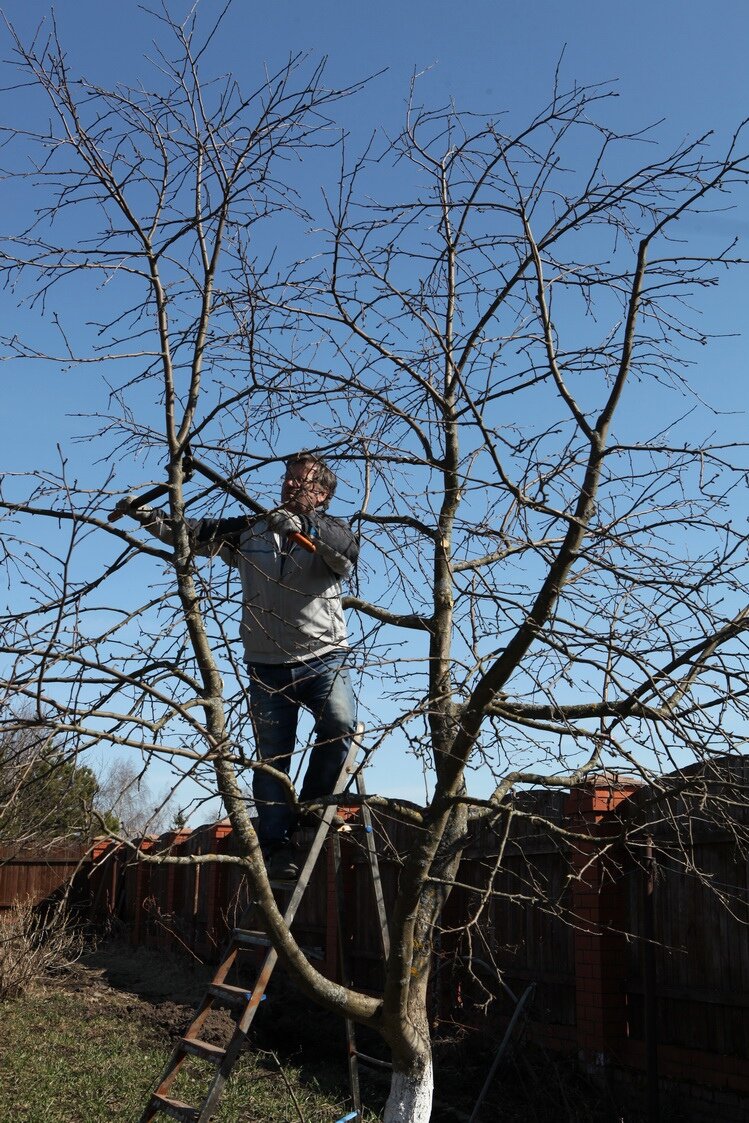 из личного архива