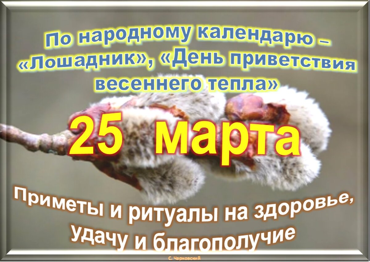 Праздники 25 ноября 2023