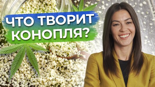 Конопля – ПОЛЕЗНА? / Зачем есть семена конопли?