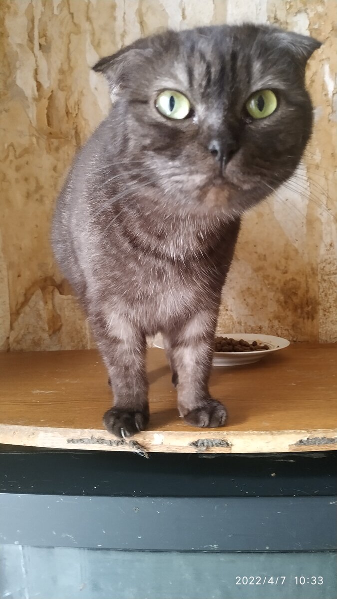 Изумительное совершенство!